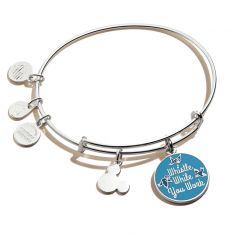 Alex and ani whistle necklace on sale