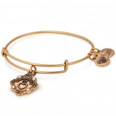 Alex and Ani Goddaughter Charm Bangle Bracelet 2018 Rafaelian