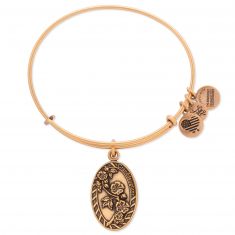 Alex and ani clearance grandson bracelet