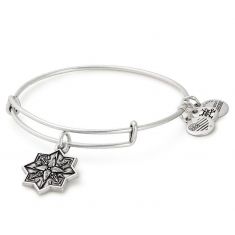 Alex and ani healing love store