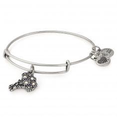 I pick you alex and ani bracelet online
