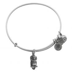 Alex and ani owl charm bracelet outlet