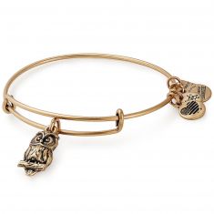 Alex and ani owl charm bracelet outlet