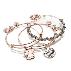 Alex and ani clearance paws of love