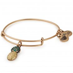 Alex and ani pineapple earrings top