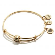 Alex and ani triskelion store