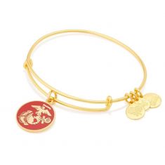 Alex and ani marine corps bracelet outlet