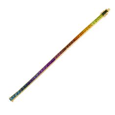 Primary - Enlarged