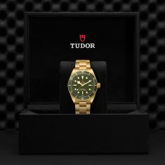 Black Bay 58 Green Dial Yellow Gold Watch 39mm - M79018V-0006
