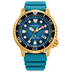 Seiko eco drive dive watches 2025