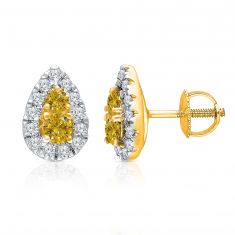 Kallati 3/8ctw Fancy Yellow Diamond and Diamond Pear Halo Yellow Gold Stud Earrings