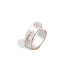 Metal Alchemist Mt. Ararat Ring | Silver Bonded | Thin