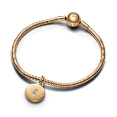 Pandora Charms 2023 Charms for Bracelets Necklaces REEDS Jewelers