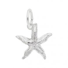 image of Sterling Silver Starfish 3D Charm with sku:10053301000
