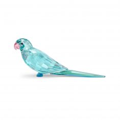 Swarovski Crystal Jungle Beats Paco Blue Parakeet Figurine