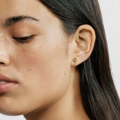 TOUS Manifesto Gold-Plated Stud Earrings