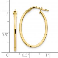 Yellow Gold Oval Hoop Earrings