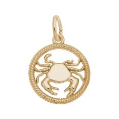 14k Yellow Gold Zodiac Cancer Cut-Out Flat Charm
