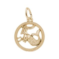 14k Yellow Gold Zodiac Capricorn Cut-Out Flat Charm