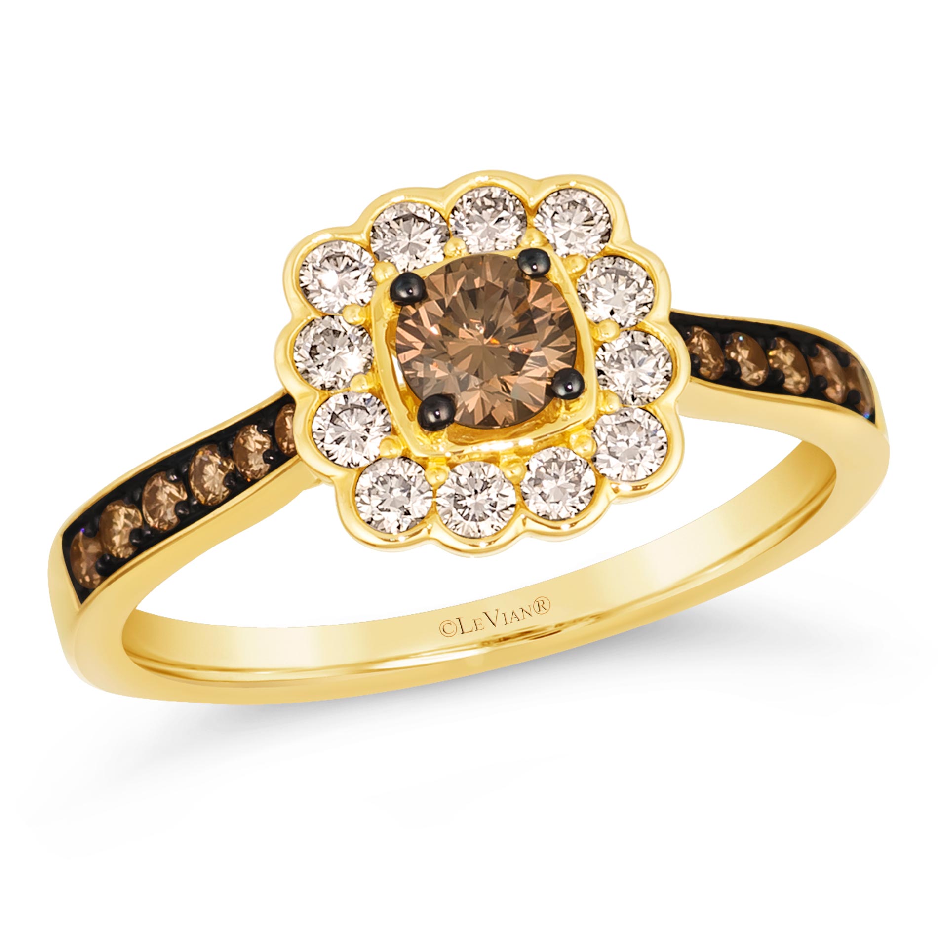 Le Vian(R) 1/3ctw Chocolate Diamonds(R) and Nude Diamonds(tm) 14k Honey Gold(tm) Halo Ring | Size 7 -  WJSB 35