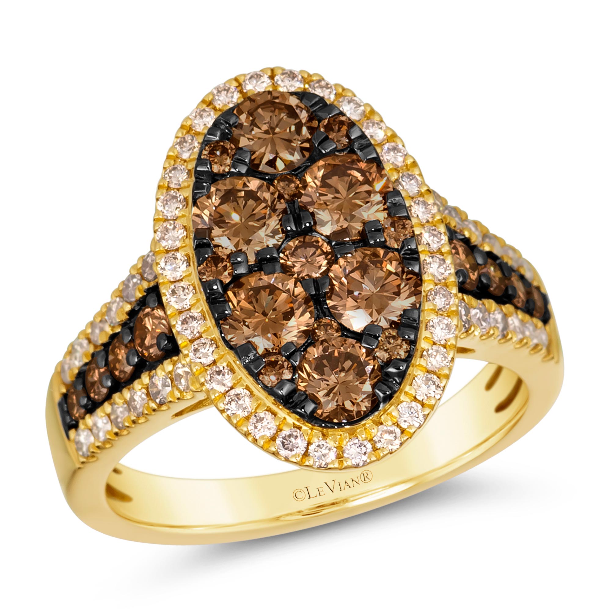 Le Vian(R) 2ctw Chocolate Diamonds(R) and Nude Diamonds(tm) Cluster 14k Honey Gold(tm) Ring | Size 7 -  TSQV 17