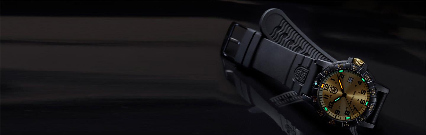 Luminox Leatherback SEA Turtle Watches