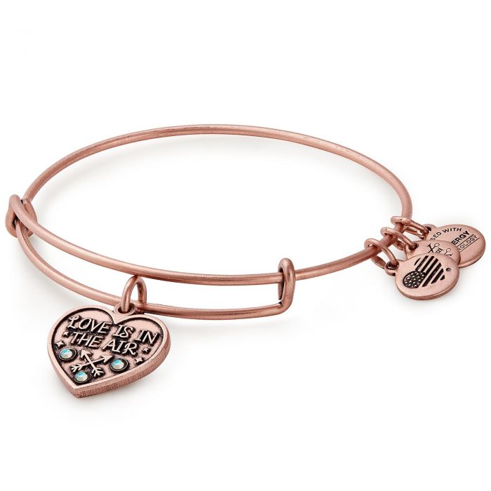 Alex and Ani Love is in the Ait Bracelet