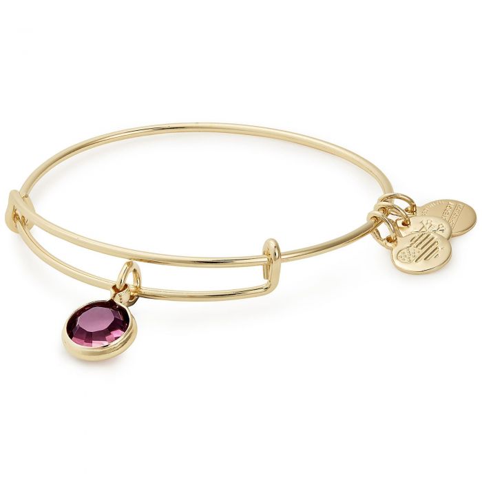 alex and ani mickey birthstone
