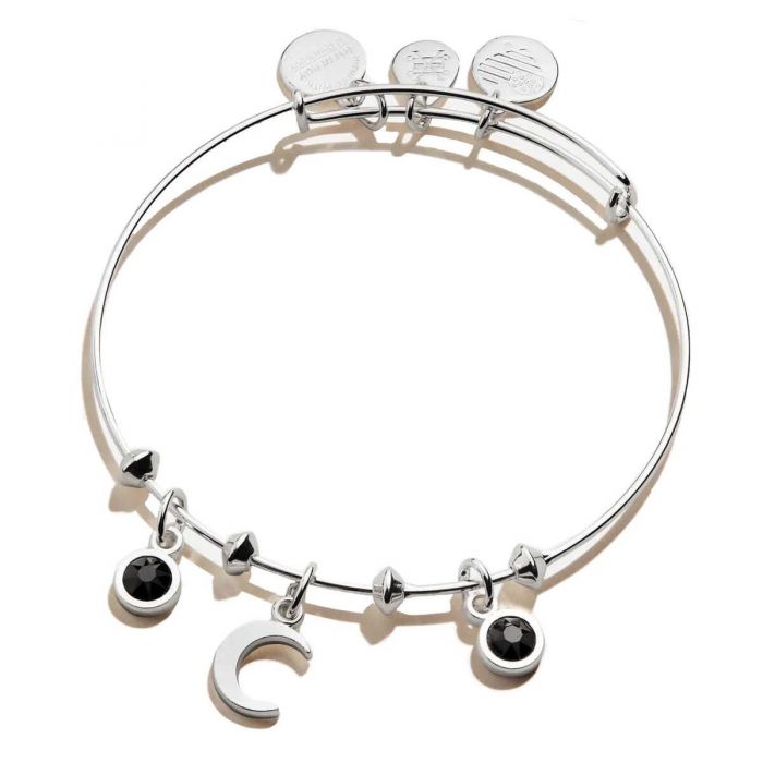 Alex And Ani Moon And Crystal Multi Charm Bangle Bracelet Shiny