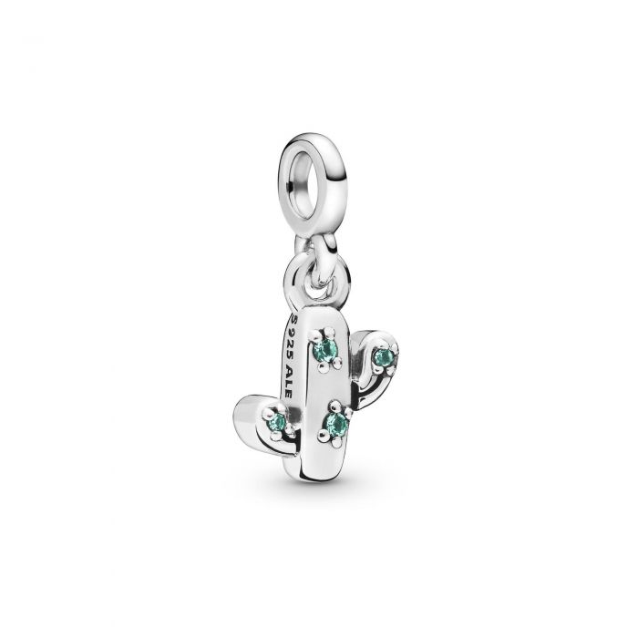 pandora charm cactus pandora charm cactus