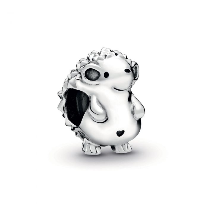 charm pandora charm pandora