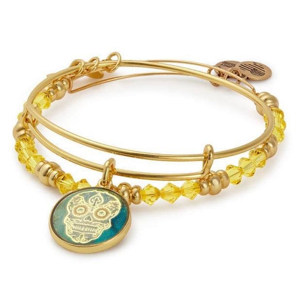 alex and ani skull bracelet