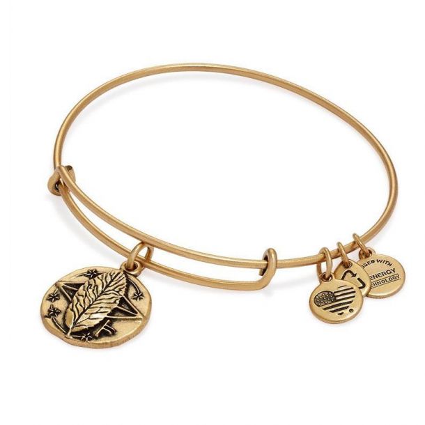 Alex And Ani Rowan Charm Bangle Rafaelian Gold Finish Reeds Jewelers