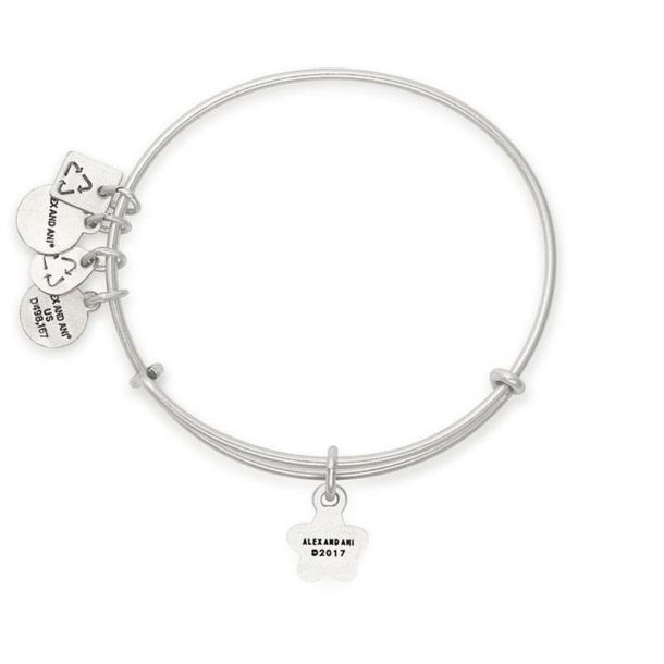 dark side of the moon bracelet