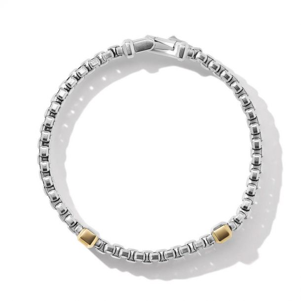 Chain Bracelet with 18K Yellow Gold 