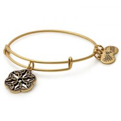 Alex And Ani Endless Knot Charm Bangle Bracelet Rafaelian Silver Alex And Ani Endless Knot Charm Bangle
