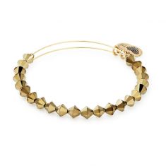 Alex and Ani REED BEADED Shiny Gold Finish Bangle New W// Tag Card /& Box