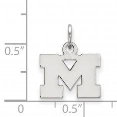 Two-Toned Money Clip University of Michigan 