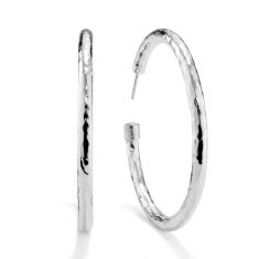 ippolita
