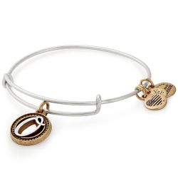 Alex And Ani Initial H Charm Rafaelian Silver Finish Bangle Bracelet