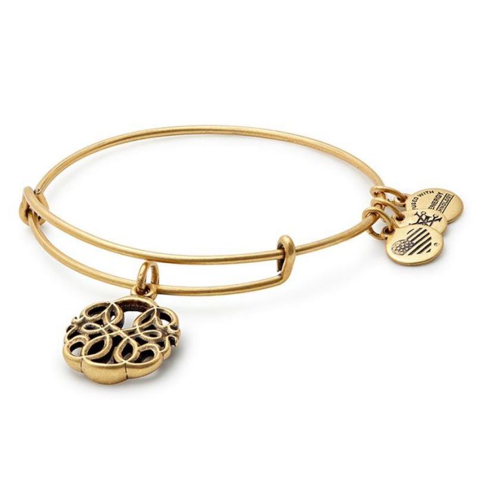 Alex And Ani Path Of Life Charm Bangle Bracelet Rafaelian Gold