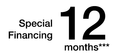 No Interest if Paid in Full within 12 Months